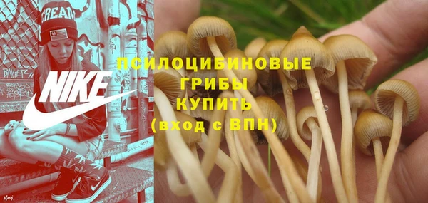 марихуана Арсеньев