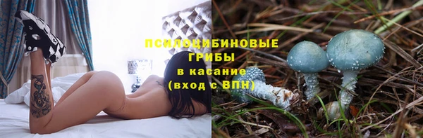 трава Армянск