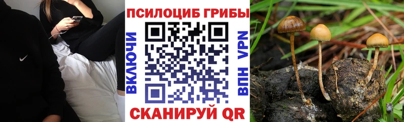 Псилоцибиновые грибы Psilocybine cubensis  маркетплейс как зайти  Окуловка  МЕГА как зайти 
