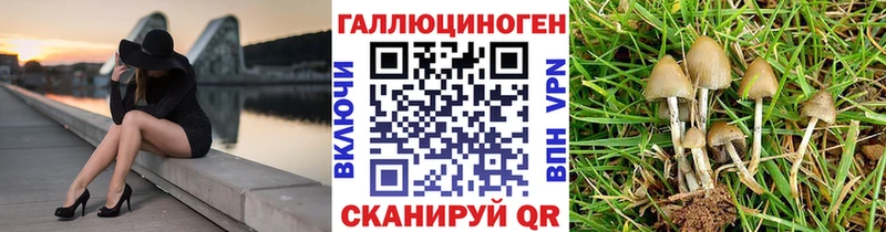 Галлюциногенные грибы прущие грибы Окуловка
